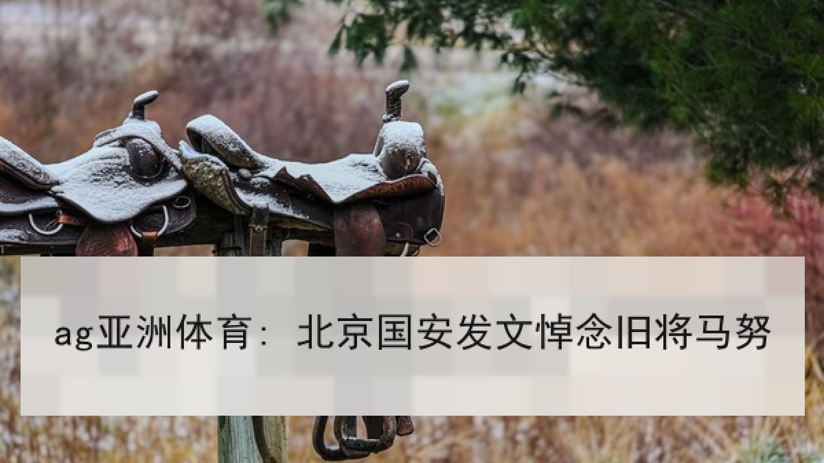 ag亚洲体育: 北京国安发文悼念旧将马努 ag亚洲体育: 北京国安发文悼念旧将马努